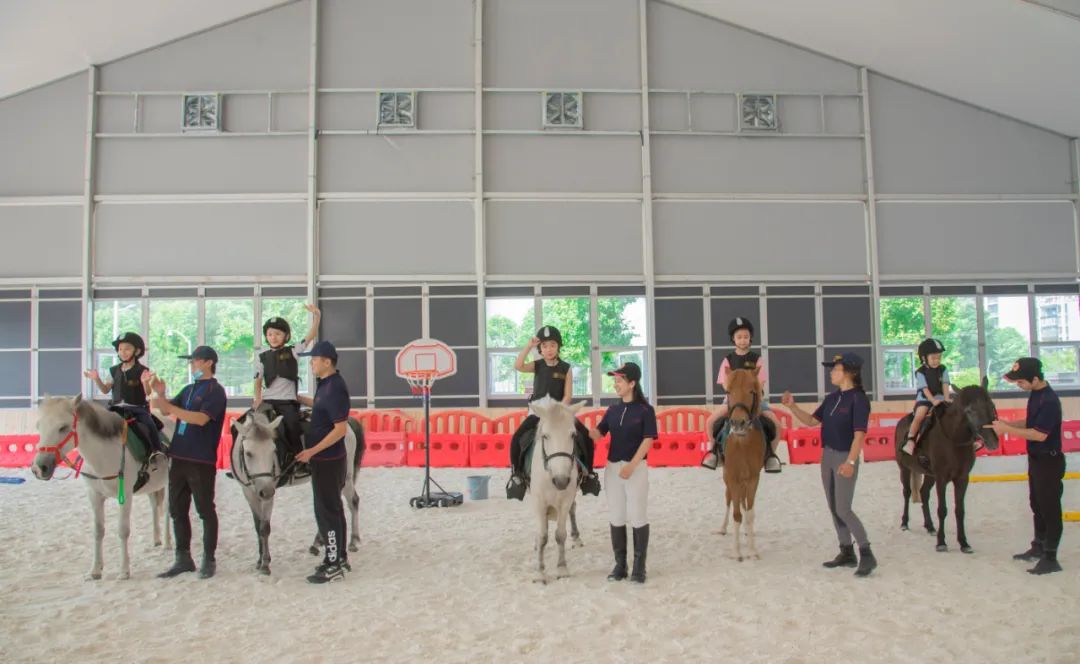 弧形馬術(shù)館篷房 弧形馬術(shù)館篷房